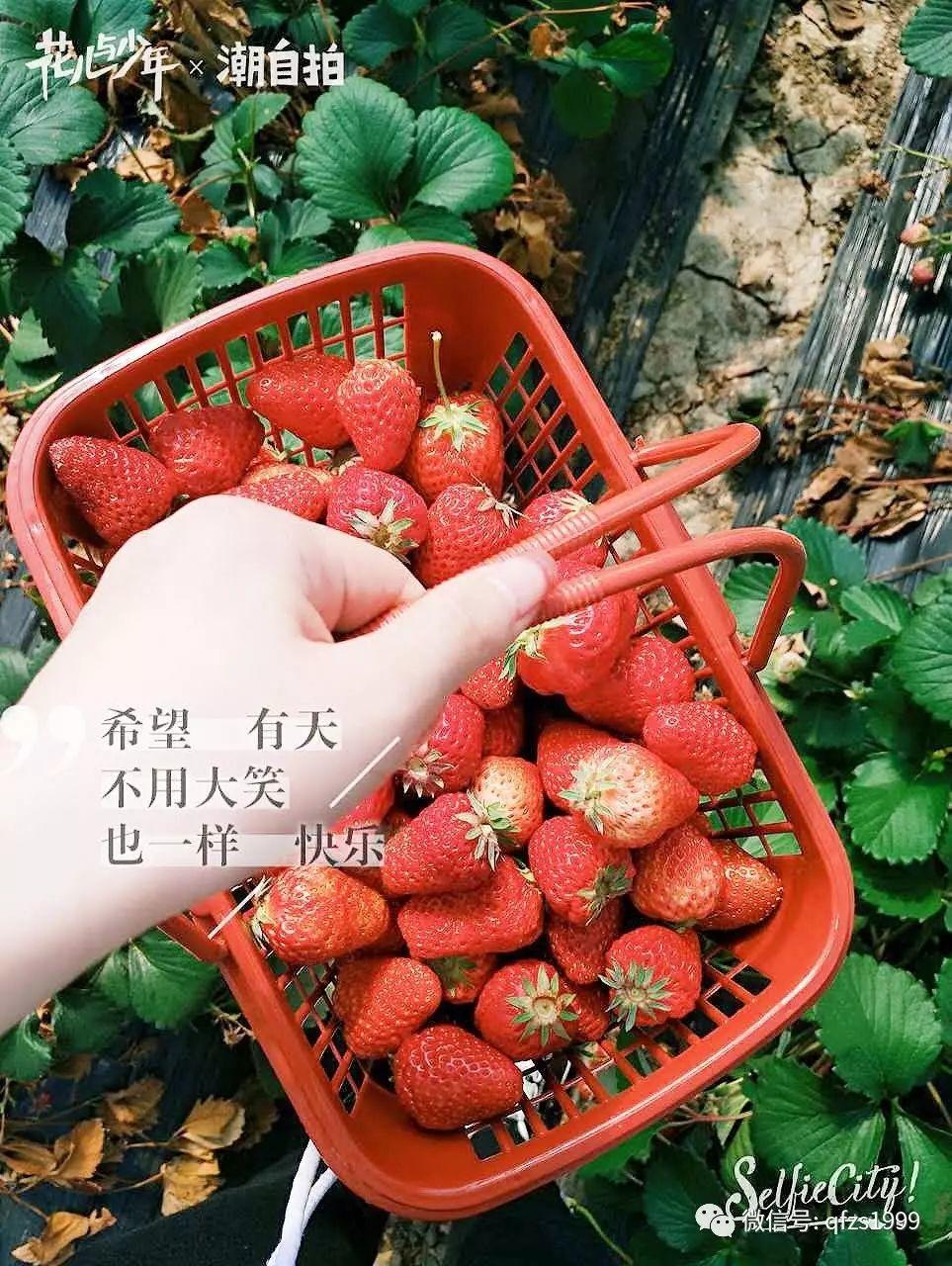 厲害了我的伙伴們！清風(fēng)裝飾優(yōu)秀團(tuán)隊—2017春游踏青之旅。