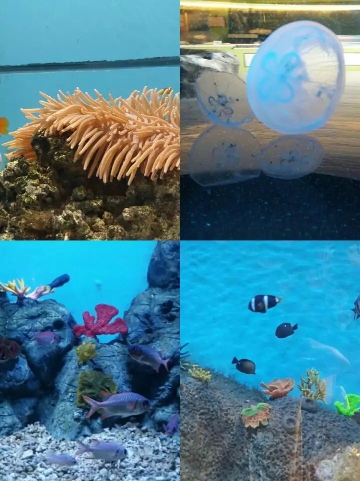 清風團隊夏日行 | 用清涼美景與快樂心情刷爆朋友圈