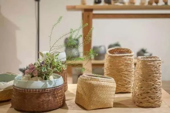 這些北歐宜家風(fēng)必備網(wǎng)紅植物，你都知道叫啥嗎？