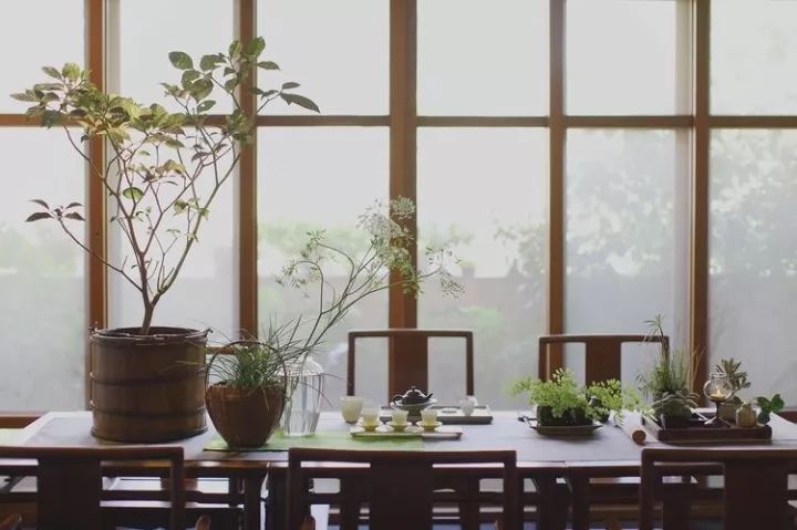 有間茶室，真好！