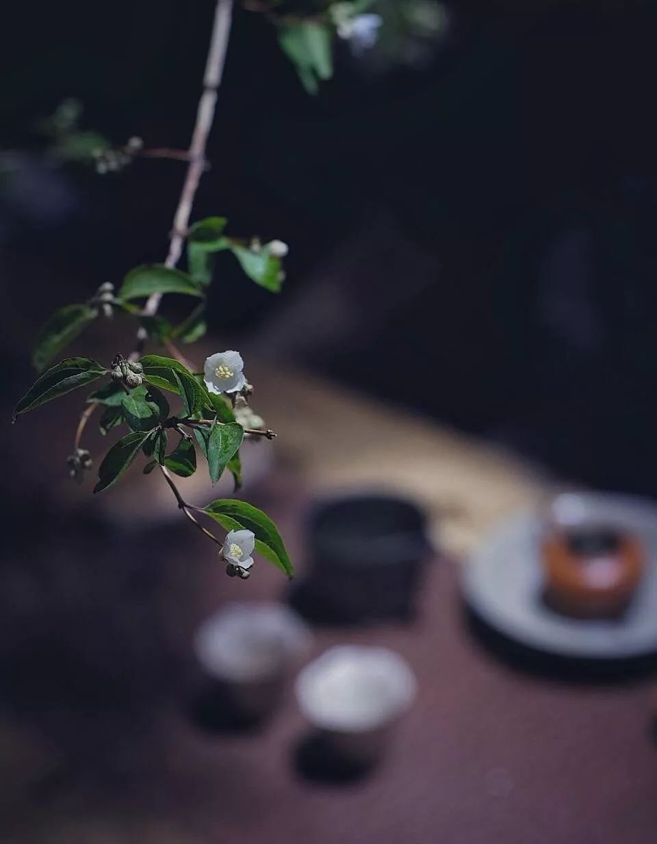 有間茶室，真好！