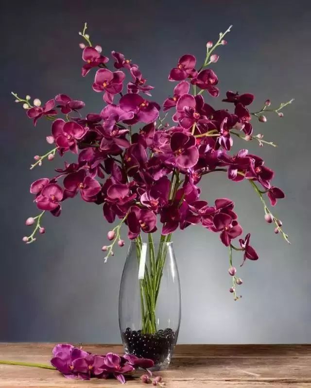 這9種室內(nèi)插花花器，你了解多少!
