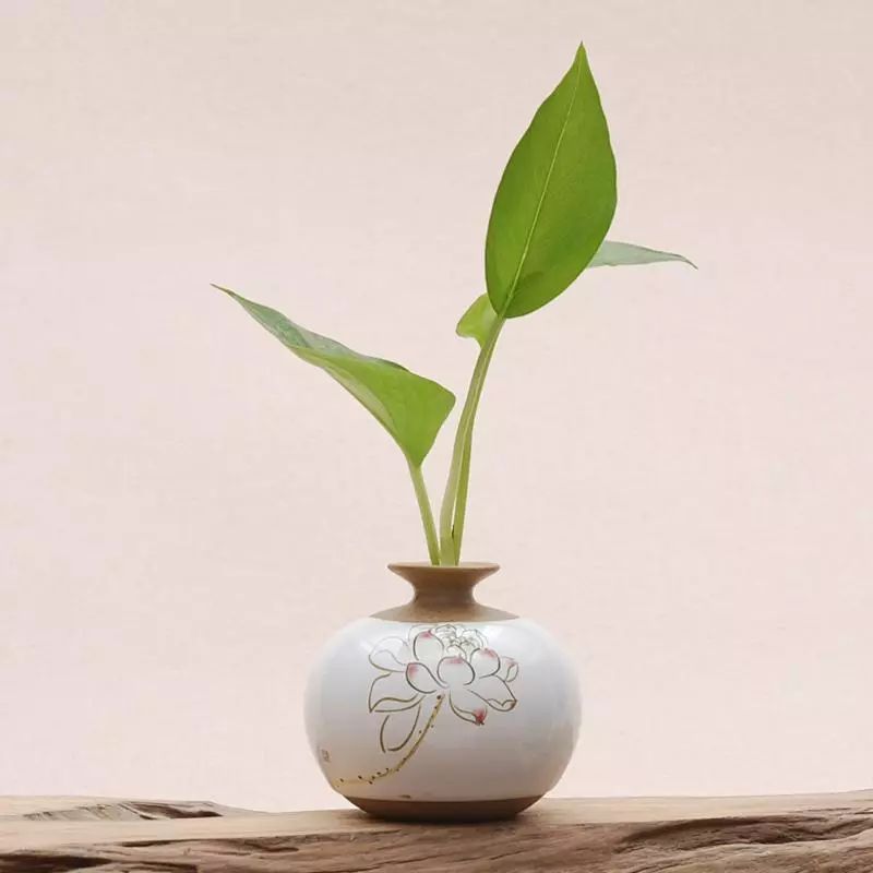 這9種室內(nèi)插花花器，你了解多少!