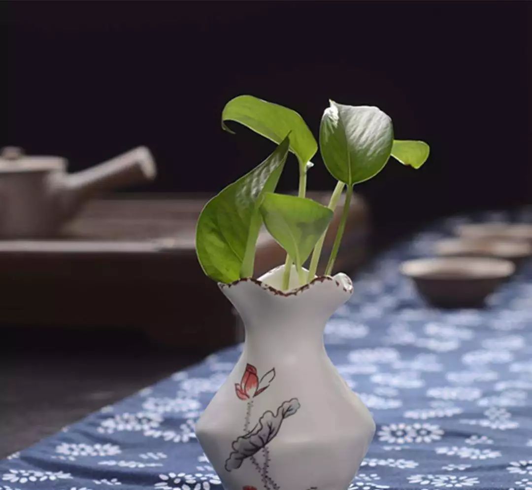 這9種室內(nèi)插花花器，你了解多少!