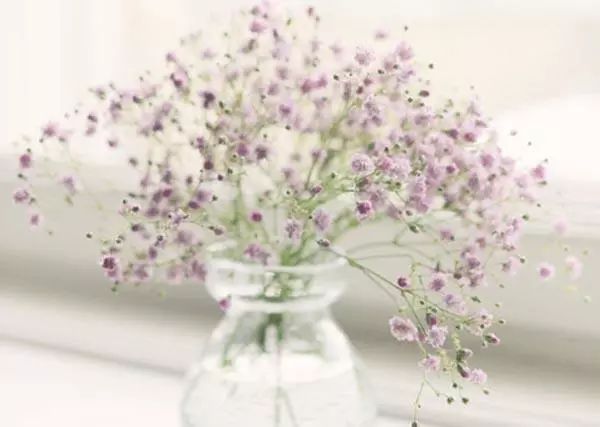 這9種室內(nèi)插花花器，你了解多少!