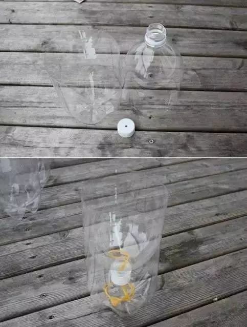 幾根繩子把綠植種成屏風(fēng)，還買花盆干嘛？