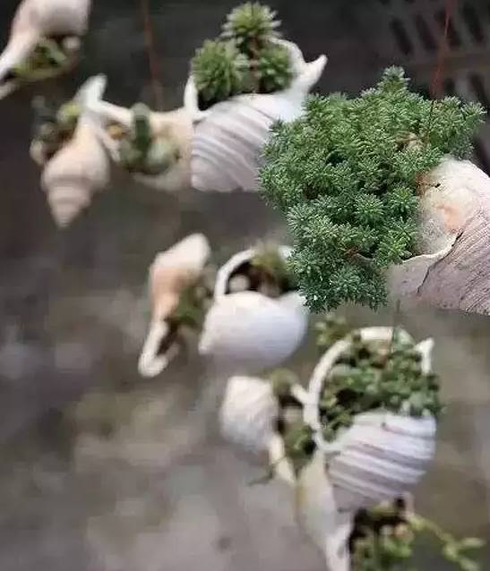 創(chuàng)意家居丨你以為只有陽臺(tái)能養(yǎng)花？這樣養(yǎng)花才有創(chuàng)意~