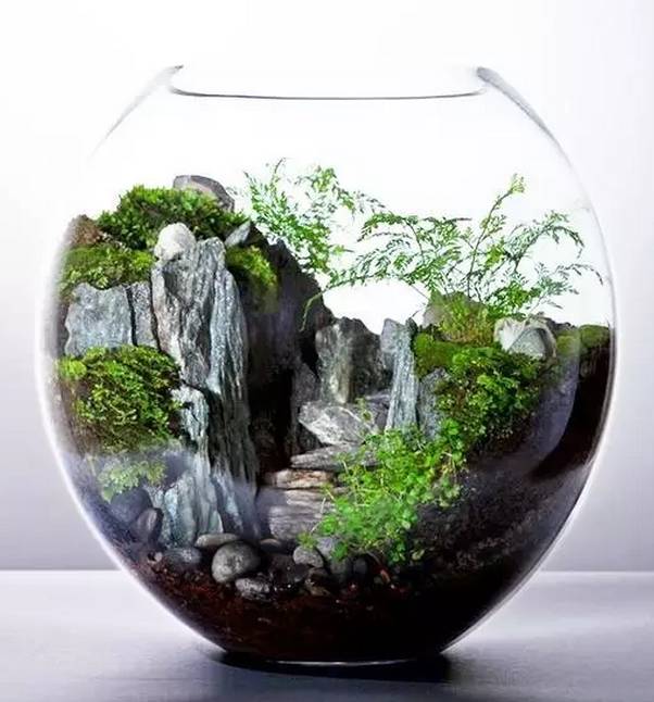 創(chuàng)意家居丨你以為只有陽臺(tái)能養(yǎng)花？這樣養(yǎng)花才有創(chuàng)意~
