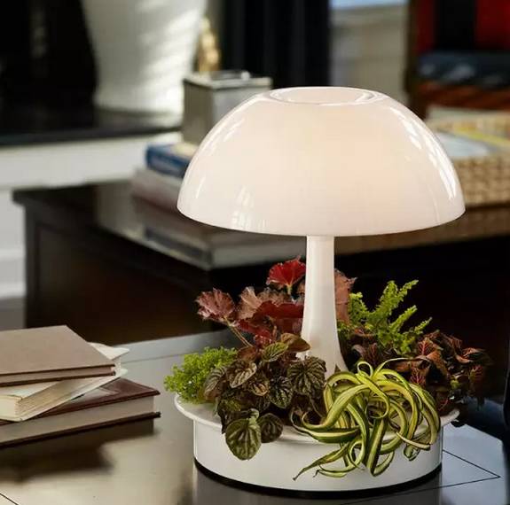 創(chuàng)意家居丨你以為只有陽臺(tái)能養(yǎng)花？這樣養(yǎng)花才有創(chuàng)意~