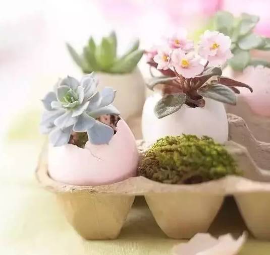 創(chuàng)意家居丨你以為只有陽臺(tái)能養(yǎng)花？這樣養(yǎng)花才有創(chuàng)意~