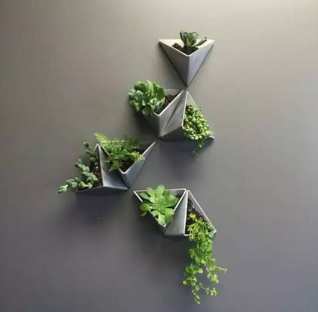 創(chuàng)意家居丨你以為只有陽臺(tái)能養(yǎng)花？這樣養(yǎng)花才有創(chuàng)意~