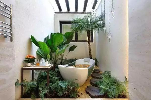 衛(wèi)生間也可以像花園一樣生機(jī)盎然！