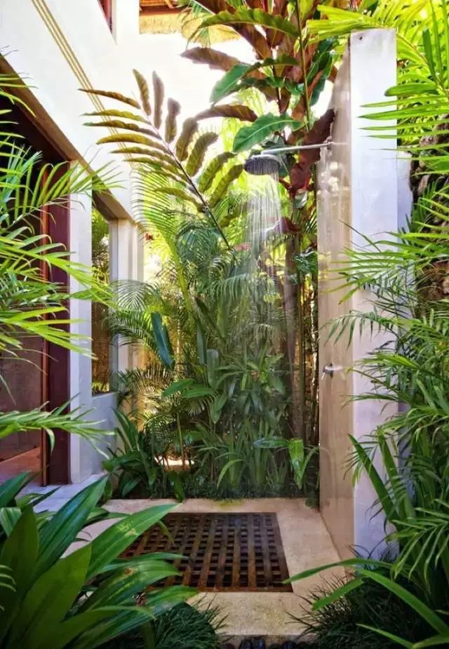 衛(wèi)生間也可以像花園一樣生機(jī)盎然！