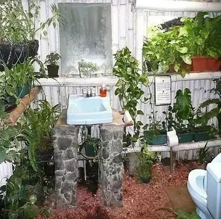 衛(wèi)生間也可以像花園一樣生機(jī)盎然！