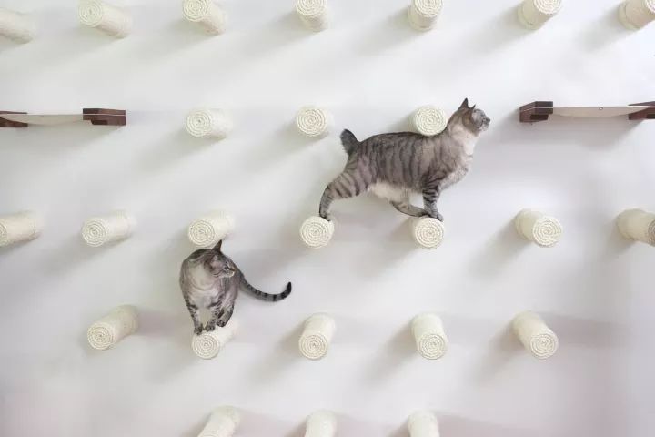 你心目中理想的家是什么模樣？