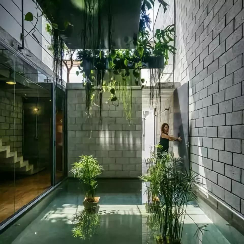 賜我一個(gè)院子吧，1㎡也可以啊！
