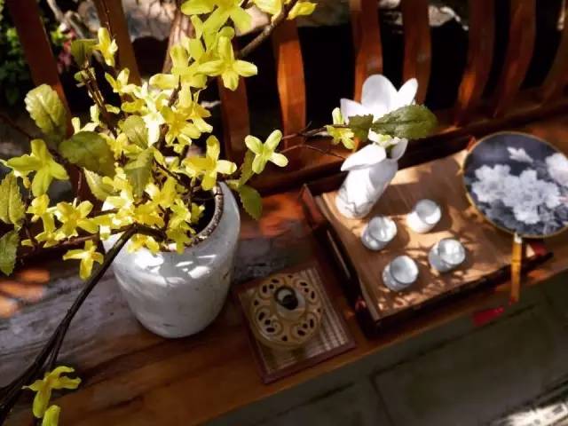 春風十里，不如一個院子。