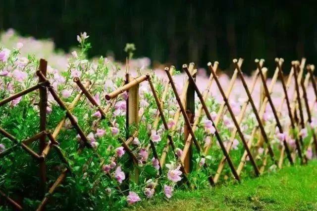 余生，想要一個院子，看花開花落......