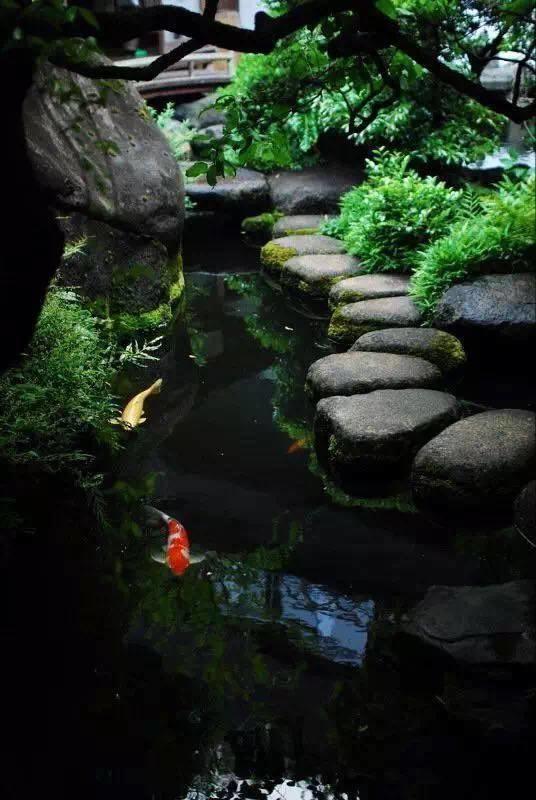 余生，想要一個院子，看花開花落......