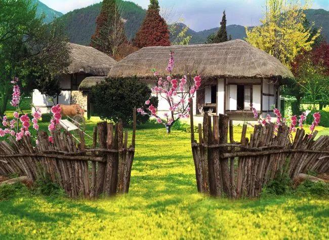 余生，想要一個院子，看花開花落......