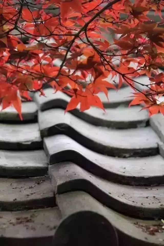 當(dāng)瓦片碰上設(shè)計(jì)師。