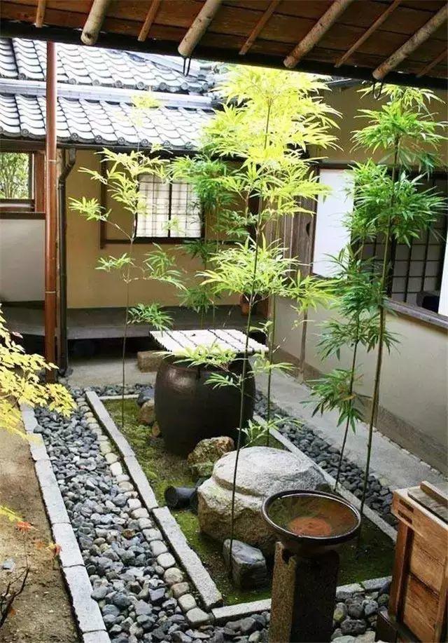 余生，想要一個院子，看花開花落......