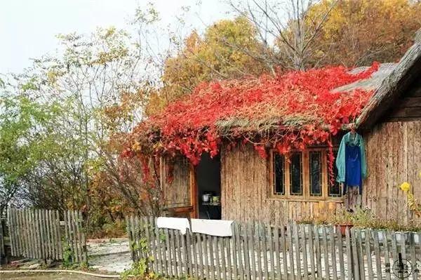 余生，想要一個院子，看花開花落......