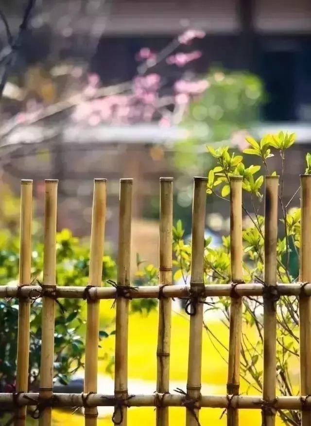 余生，想要一個院子，看花開花落......