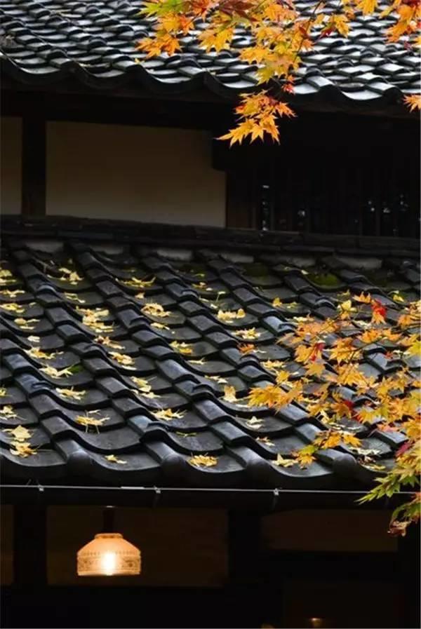 當(dāng)瓦片碰上設(shè)計(jì)師。