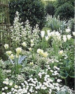 微園林|花園植物的色彩語(yǔ)言，讓植物為你說(shuō)話。