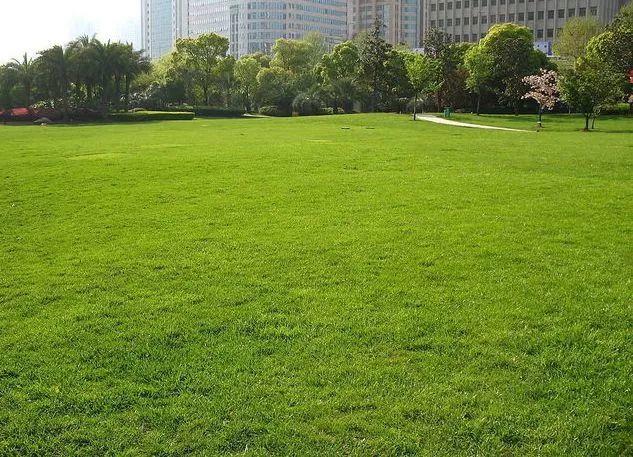 微園林|景觀植物綠化設(shè)計(jì)方法