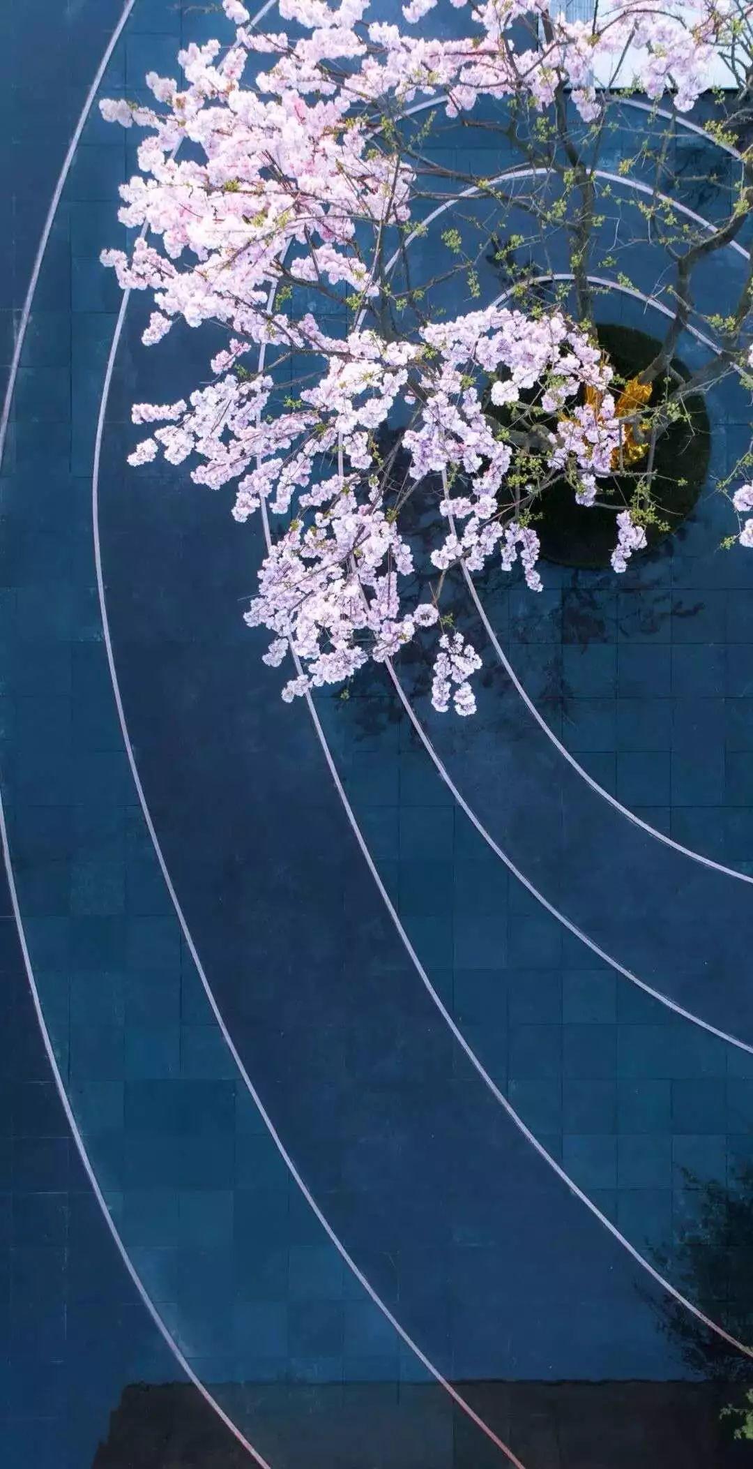 新視野|“圓”來重復(fù)設(shè)計(jì)這么好看~