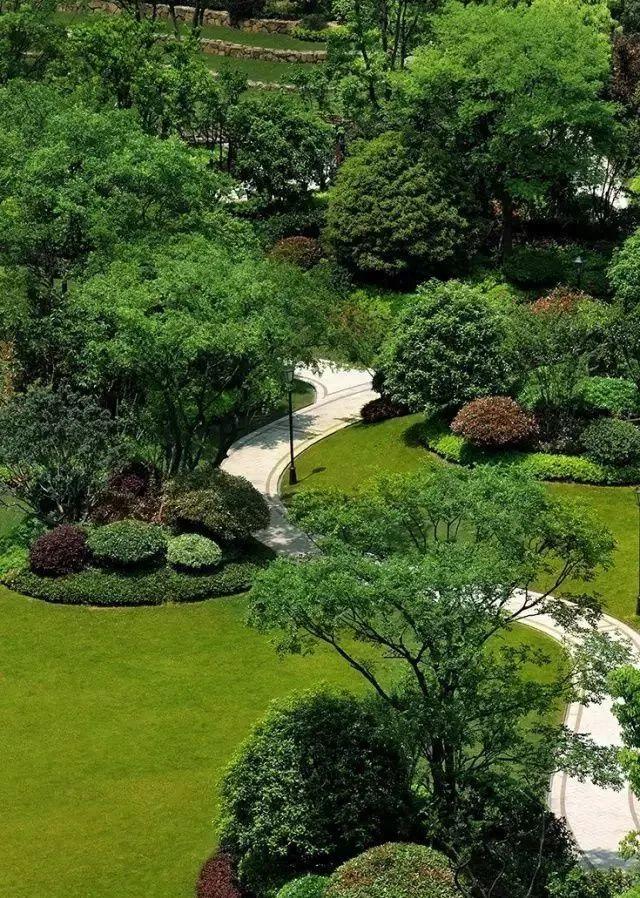 微園林|景觀植物綠化設(shè)計(jì)方法
