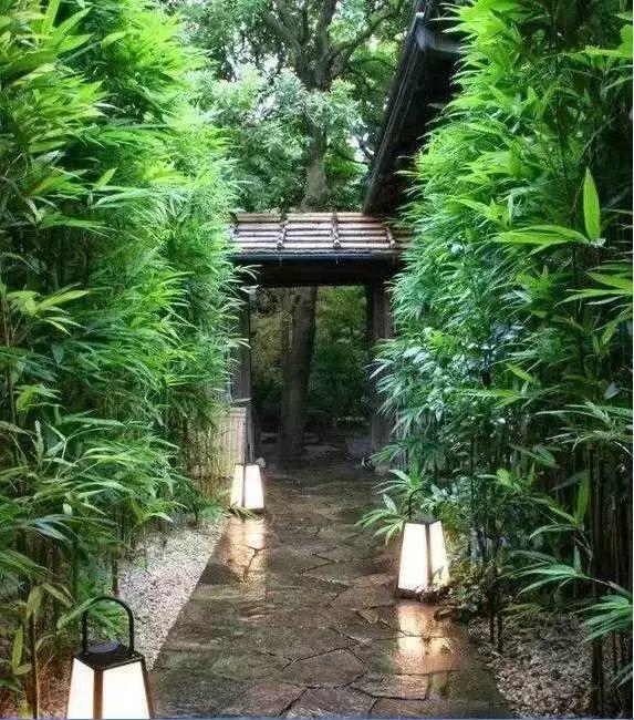 微園林|景觀植物綠化設(shè)計(jì)方法