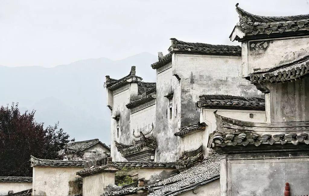 微園林|中國墻 · 無墻，則無家
