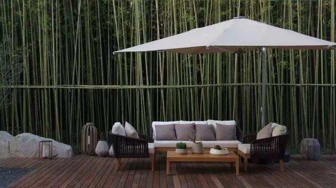 微園林|景觀植物綠化設(shè)計(jì)方法