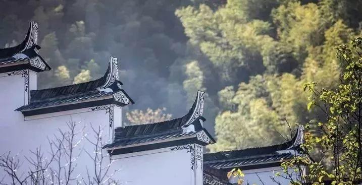 微園林|中國墻 · 無墻，則無家