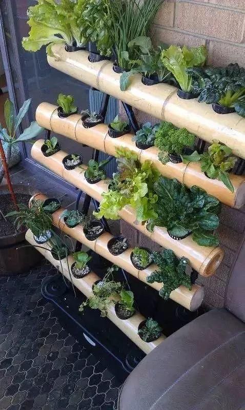 花花世界|居家打造精致小花園的8種方法！