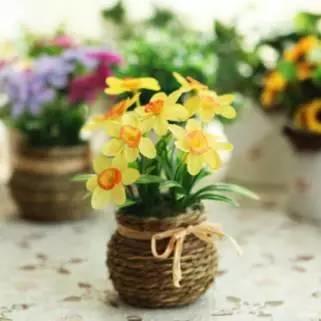 微園林|花園植物的色彩語(yǔ)言，讓植物為你說(shuō)話。
