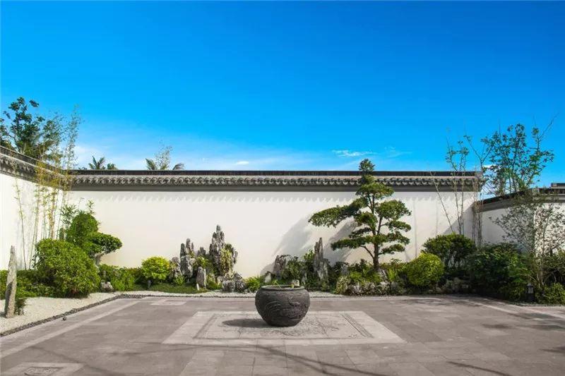 微園林|老缸 · 庭院中的一方山水