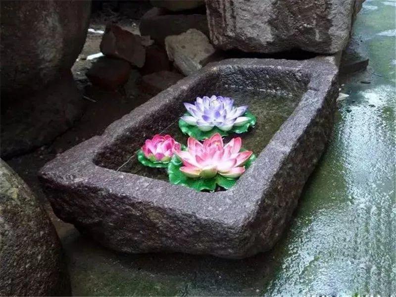 微園林|老缸 · 庭院中的一方山水 微園林|老缸 · 庭院中的一方山水