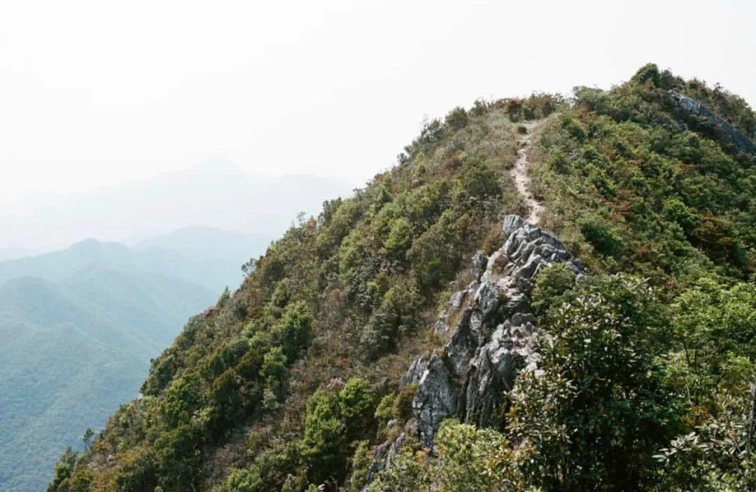 假期攻略|國內(nèi)版“鐮倉”，私藏中國美麗海岸真好看！
