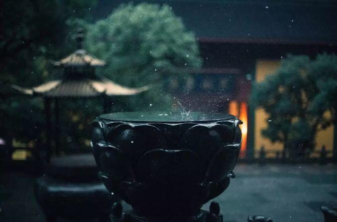 微園林|老缸 · 庭院中的一方山水