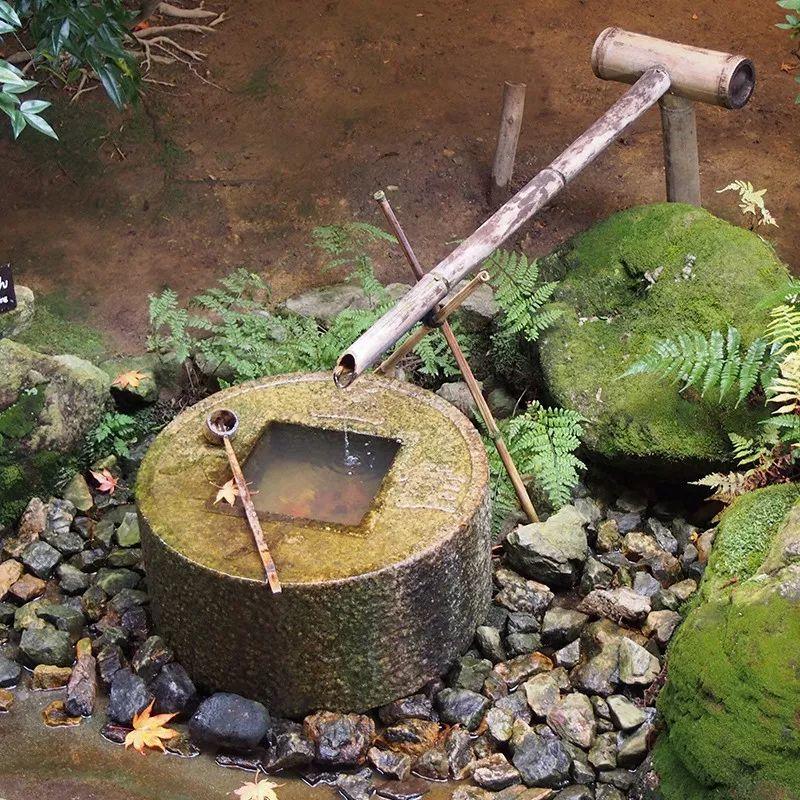 微園林|老缸 · 庭院中的一方山水 微園林|老缸 · 庭院中的一方山水