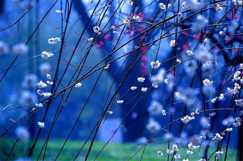 微園林|創(chuàng)意景觀(guān)節(jié)點(diǎn)，會(huì)