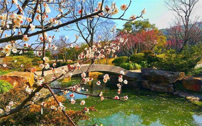 微園林|創(chuàng)意景觀(guān)節(jié)點(diǎn)，會(huì)