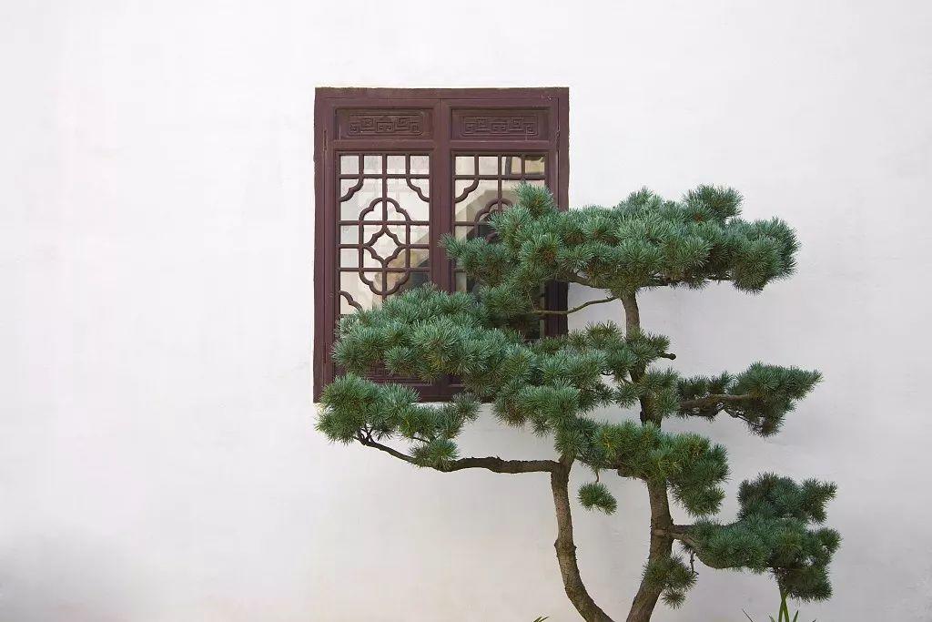 家裝小課堂|驚艷世界的中式庭院，美哭了！