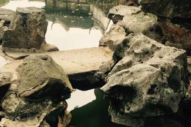 微園林|無橋不成園，有橋景更幽