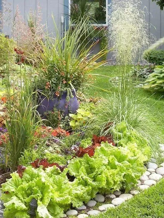 微園林|可食地景 · 花園式菜園的設(shè)計(jì)妙招