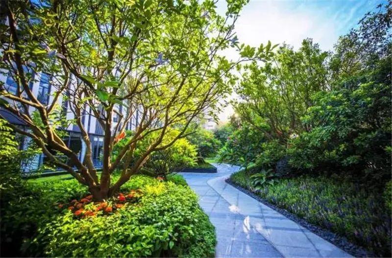微園林|花鏡設(shè)計(jì) 微園林|花鏡設(shè)計(jì)